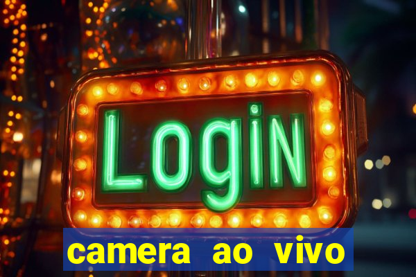 camera ao vivo beto carrero